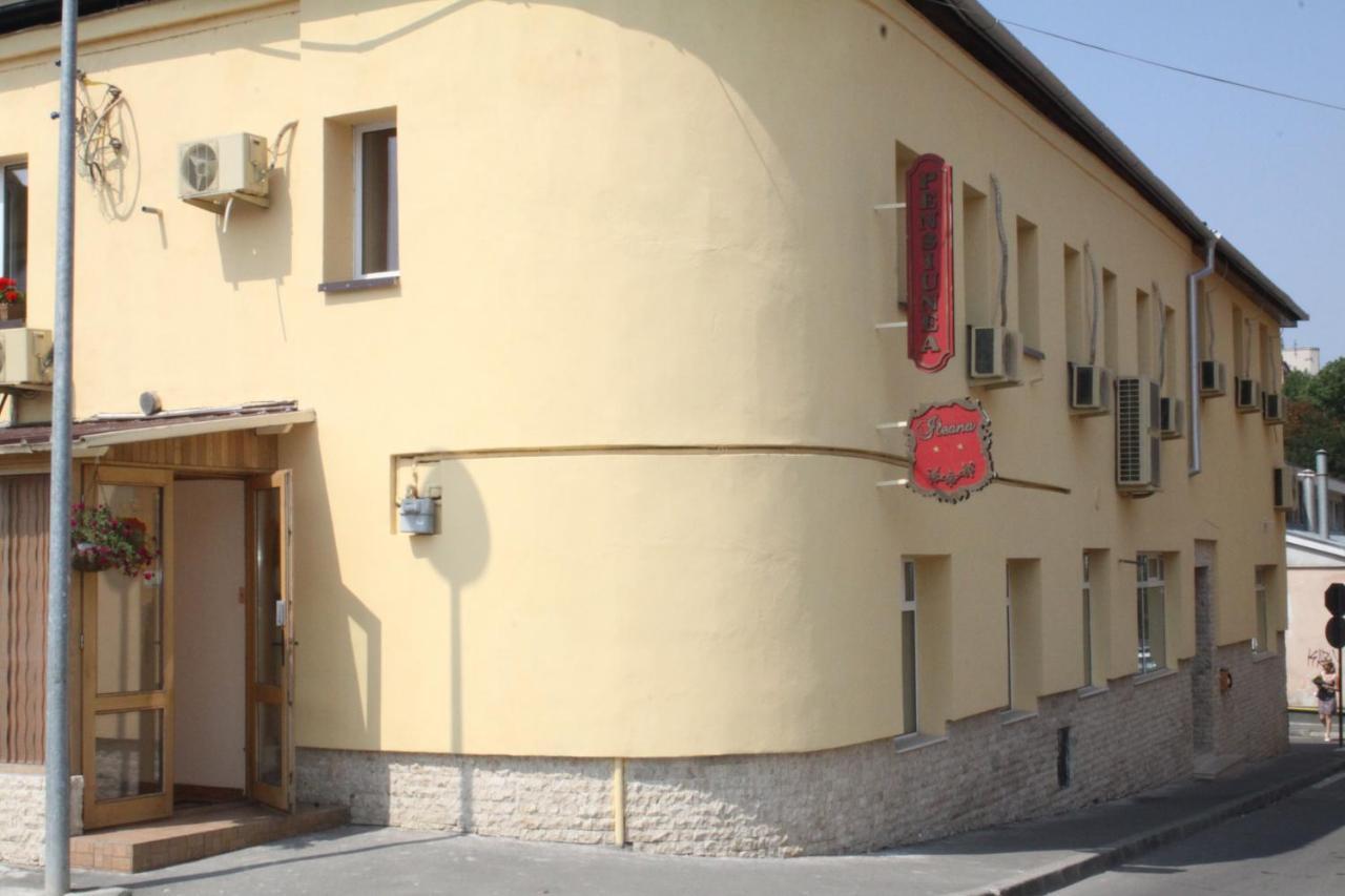 Pensiunea Ileana Sibiu Exterior photo